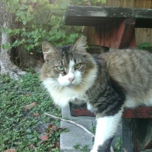 Meet your Posher, Marni